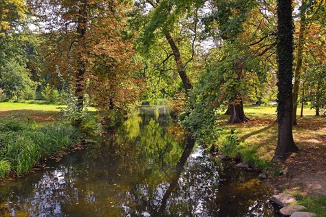 Der Floridsdorfer Wasserpark im Herbst